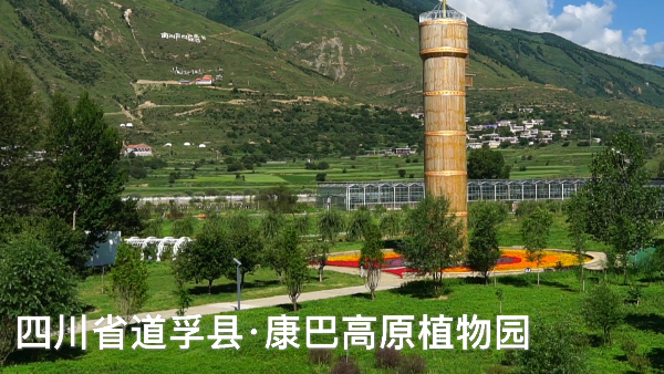 温室花 成脱贫大产业 探寻高原上的植物园