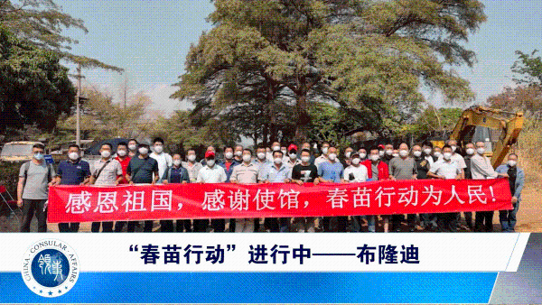 春苗行动进行中布隆迪