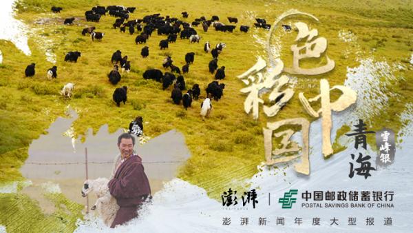 色彩中国之雪峰银丨神山下的年扎村，“转场”新生活