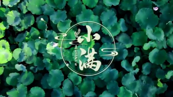 小满中的“满”是什么意思