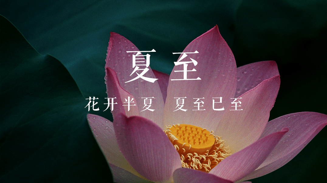 花开半夏夏至已至