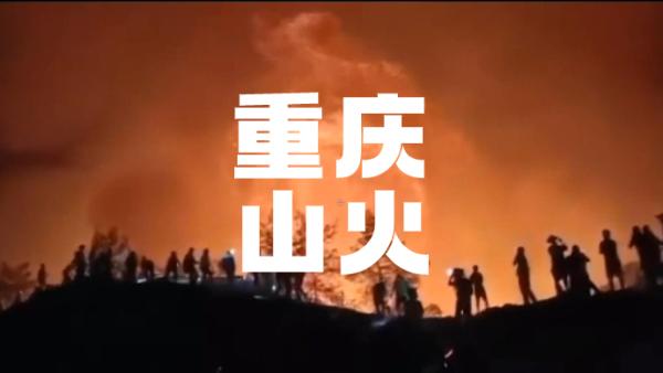 汛期一周10余起山火,重庆经历了什么?