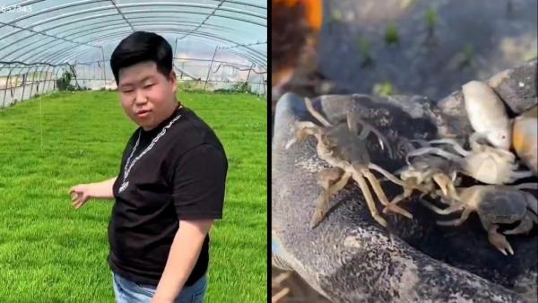 筑梦家乡丨23岁女大学生种水稻养螃蟹：村里第一个用无人机