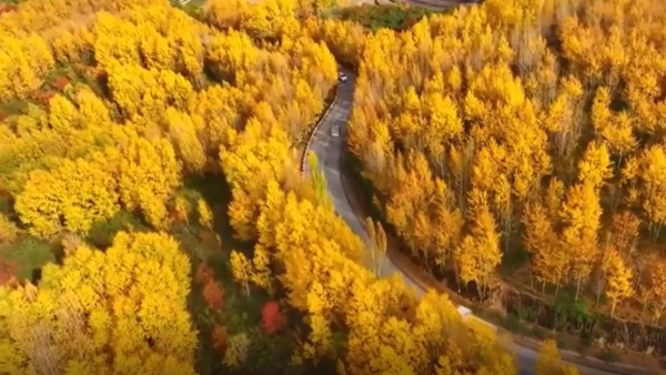 美如水彩画！航拍秋日的宁夏公路