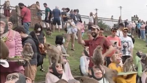 泰国小城办一年一度“猴子节”：猴子享用“自助餐”