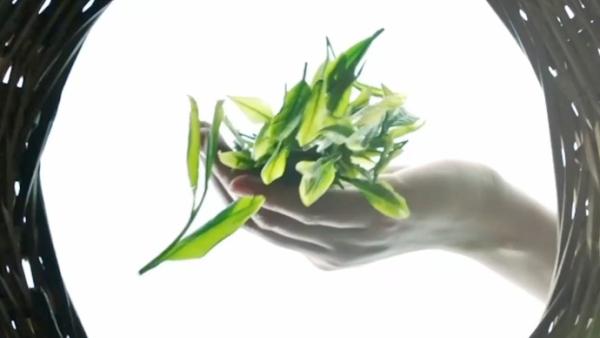 大美非遗:“径山茶宴”的民间传承