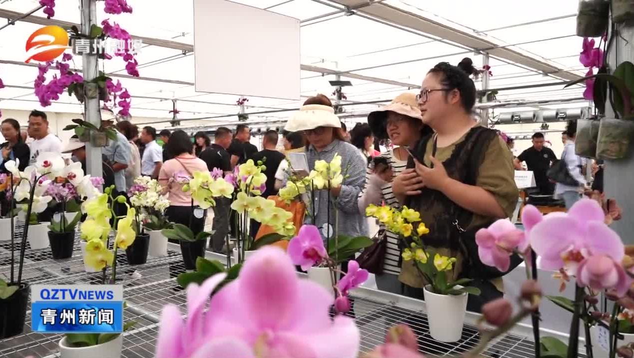 潍坊青州:展新品 促交流 助力花卉产业高质量发展